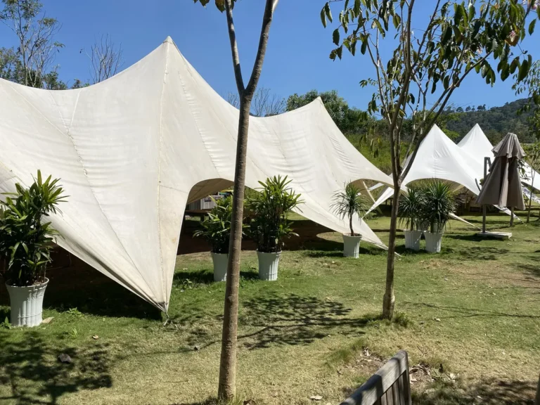 The Florest Hoa Trong Rung Da Lat12 768x576