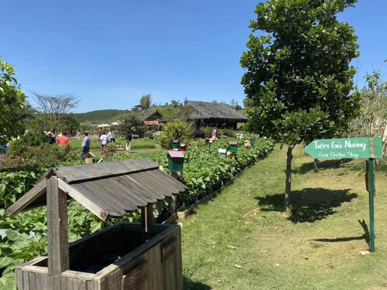 The Florest Hoa Trong Rung Da Lat14 768x576