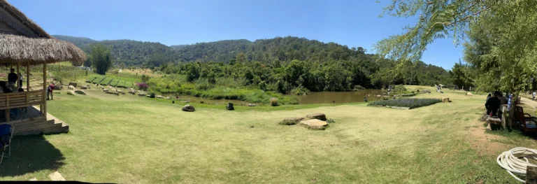 The Florest Hoa Trong Rung Da Lat17 768x263