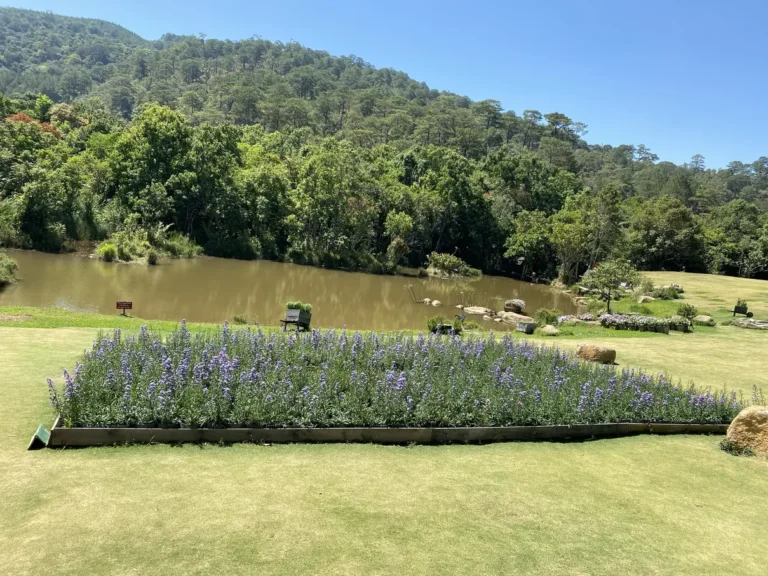 The Florest Hoa Trong Rung Da Lat18 768x576