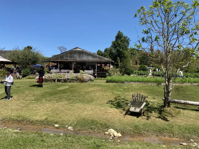 The Florest Hoa Trong Rung Da Lat20 768x576