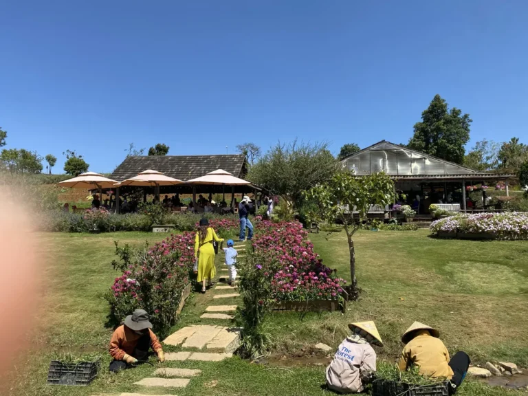 The Florest Hoa Trong Rung Da Lat21 768x576