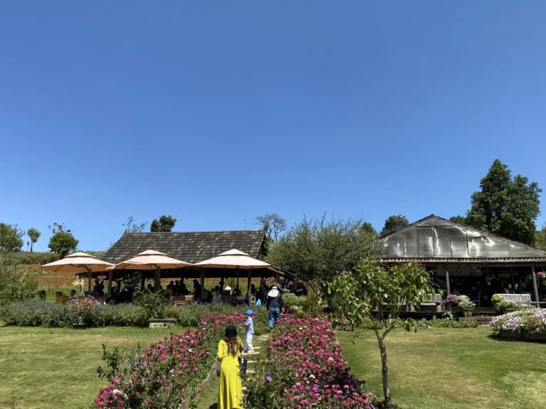The Florest Hoa Trong Rung Da Lat22 768x576