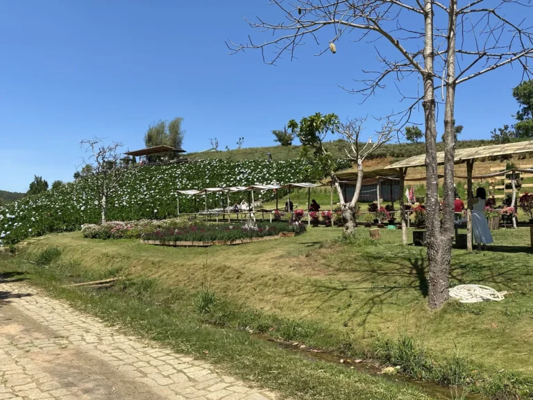 The Florest Hoa Trong Rung Da Lat23 768x576