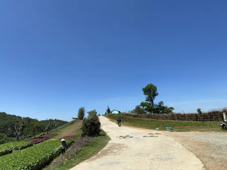 The Florest Hoa Trong Rung Da Lat28 768x576