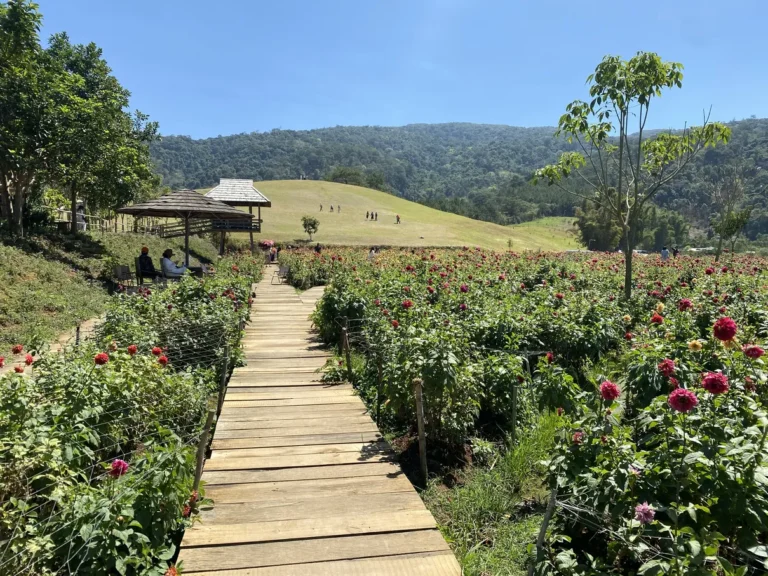 The Florest Hoa Trong Rung Da Lat3 768x576