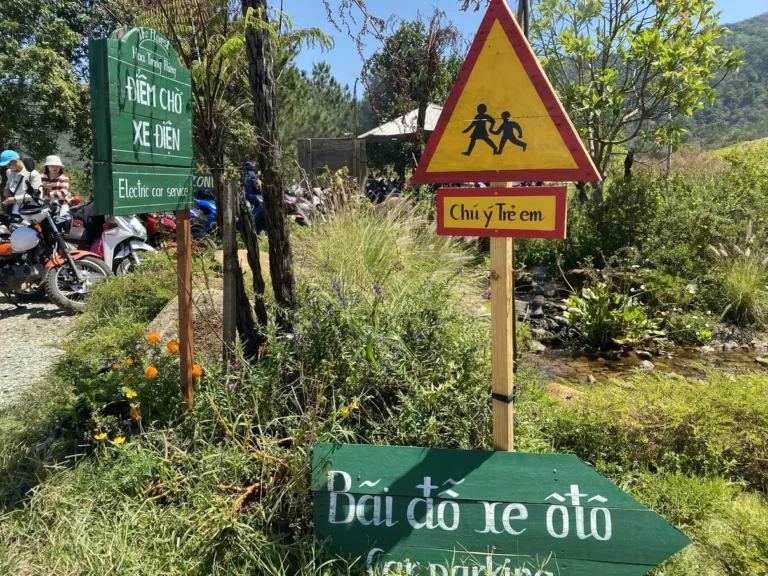 The Florest Hoa Trong Rung Da Lat30 768x576