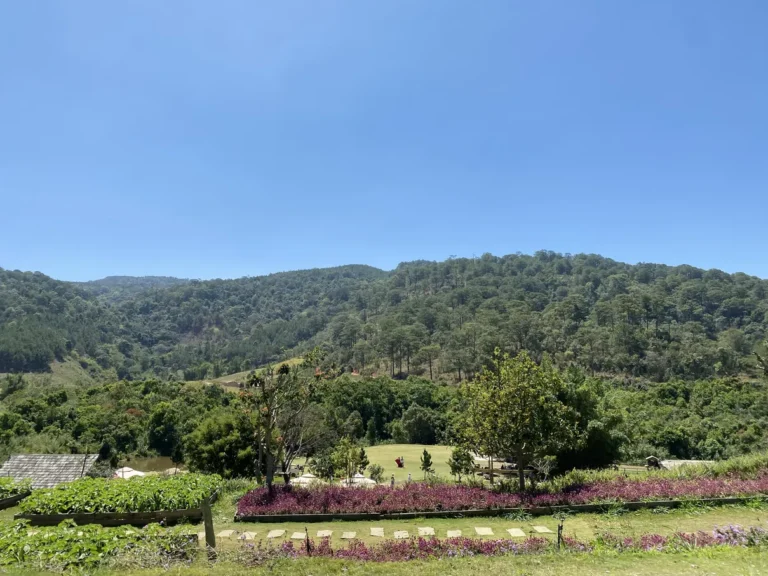 The Florest Hoa Trong Rung Da Lat31 768x576