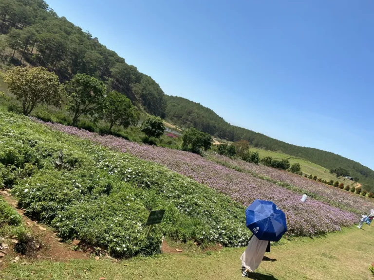 The Florest Hoa Trong Rung Da Lat34 768x576