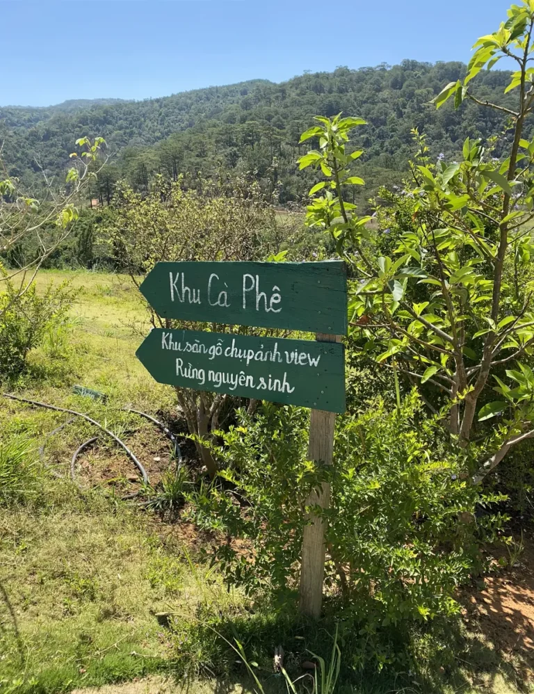 The Florest Hoa Trong Rung Da Lat38 768x998