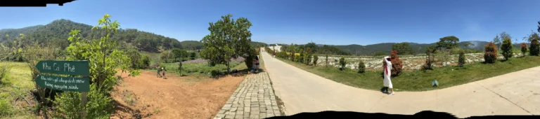 The Florest Hoa Trong Rung Da Lat39 768x170