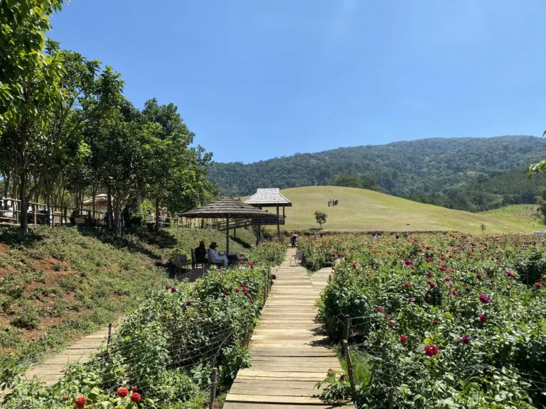 The Florest Hoa Trong Rung Da Lat6 768x576