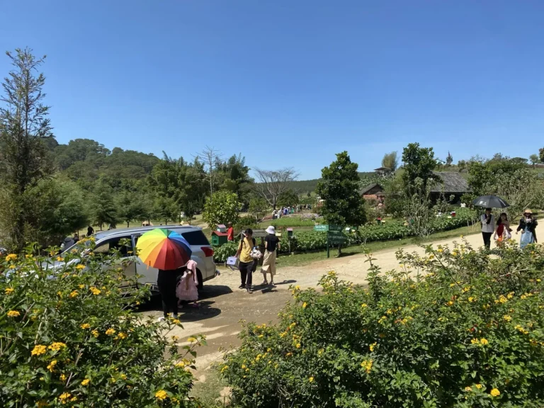 The Florest Hoa Trong Rung Da Lat7 768x576