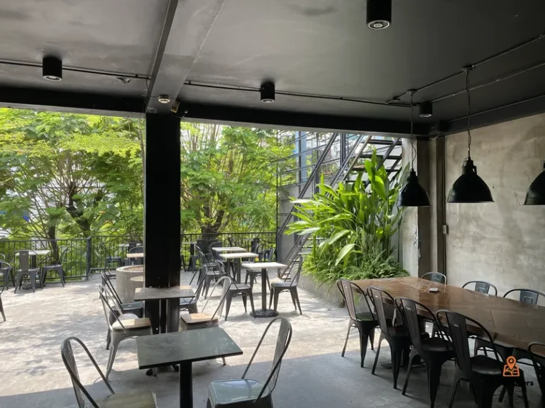 Kai Coffee Bau Cat 3 768x576