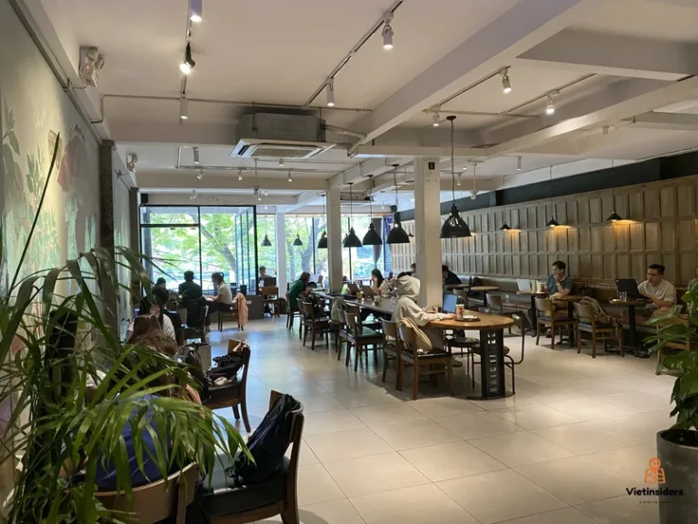 Kai Coffee Bau Cat 6 768x576