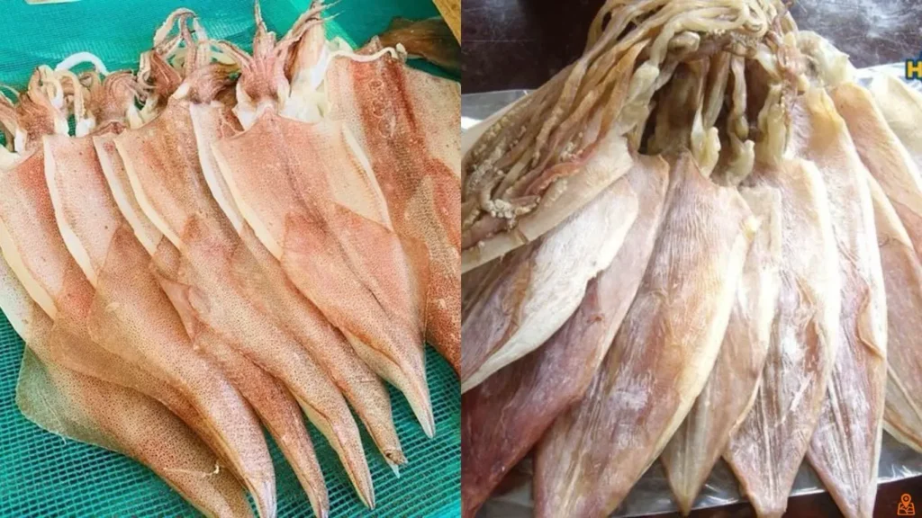 Mực 1 nắng Phước Hải