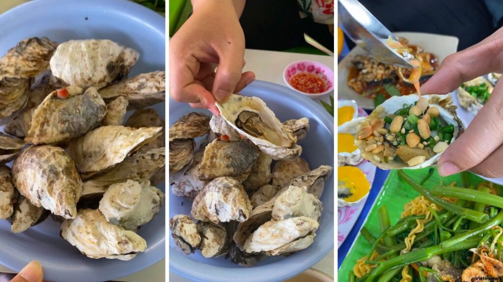 Hàu Phước Hải