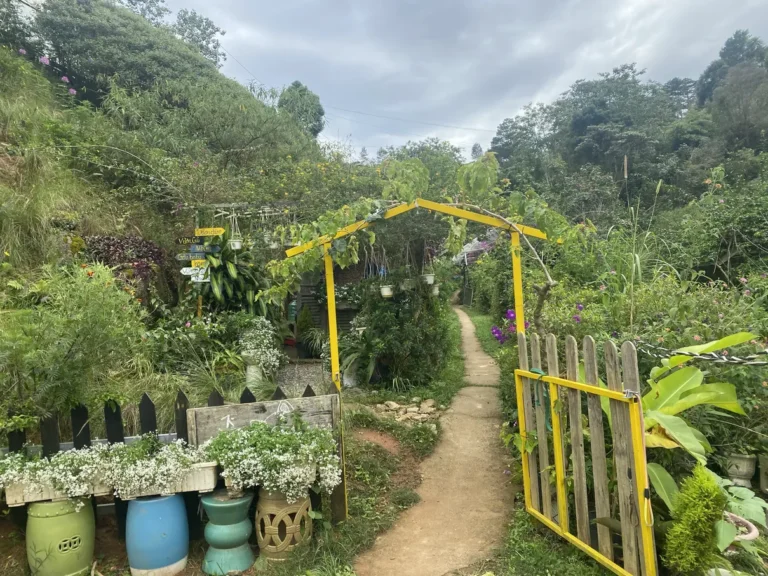 Thung lung Gau Da Lat 1 768x576
