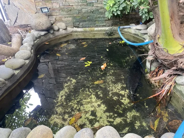 Hana Buffet Tu Xuong 21 768x576