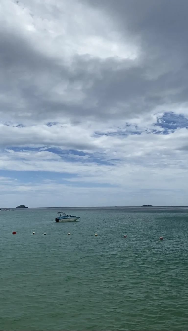 Ky Co Beach Quy Nhon 2 768x1353
