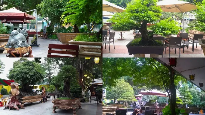 Phú Thọ Coffee - 49/4 Hòa Bình, Quận 11