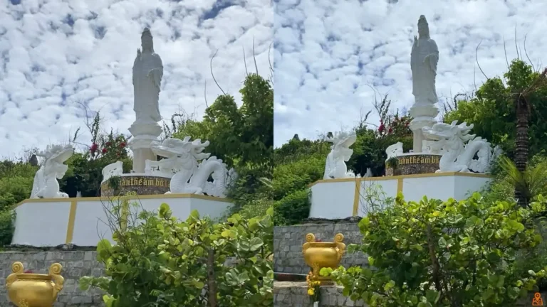 Tinh Xa Ngoc Hoa Quy Nhon 3 768x432