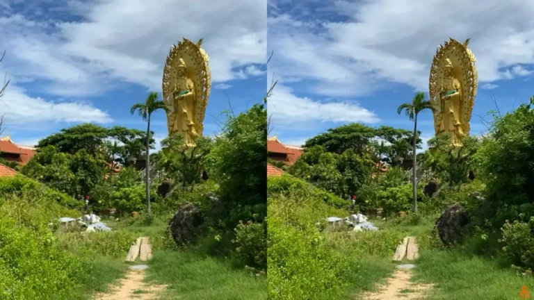 Tinh Xa Ngoc Hoa Quy Nhon 5 768x432