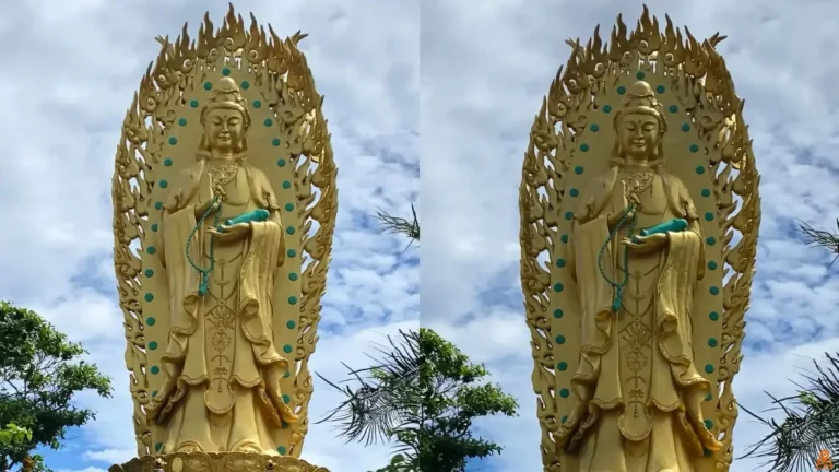 Tinh Xa Ngoc Hoa Quy Nhon 7 768x432