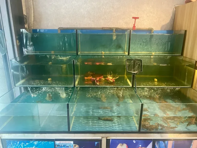 Uchi Sushi Q4 11 768x576