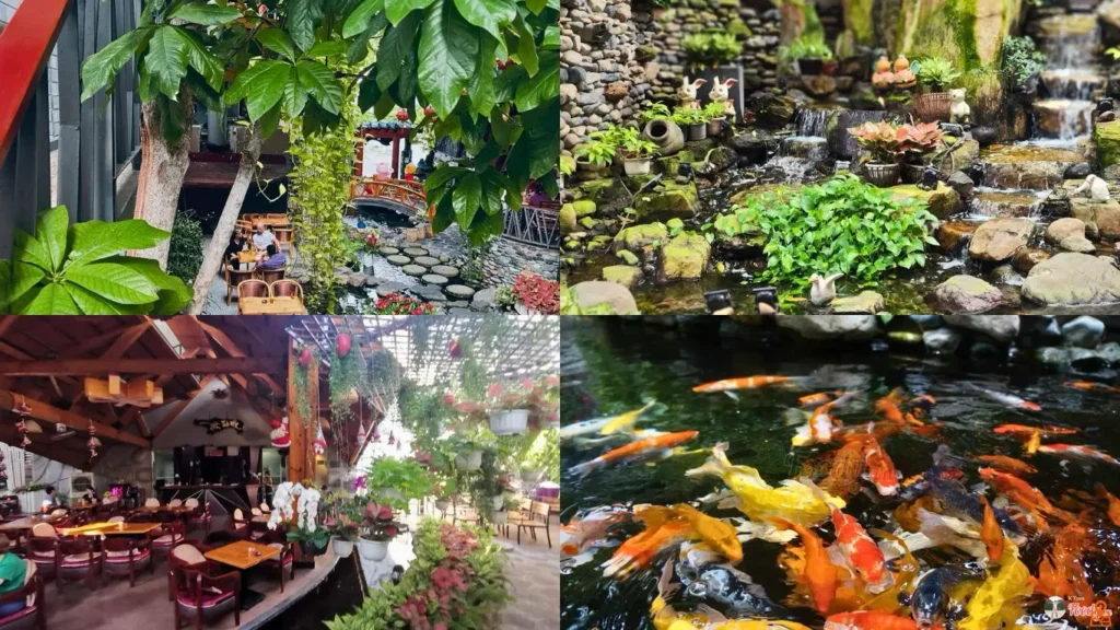 Cafe Sân Vườn Miền Thảo Mộc quận 11