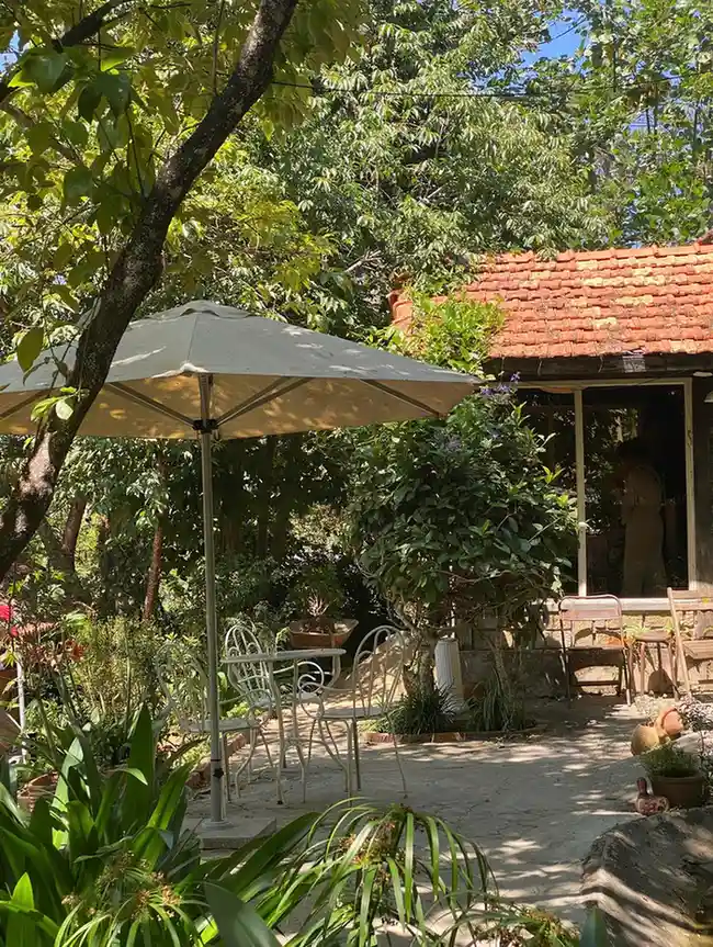 Ca phe Linh Lam Da Lat 13