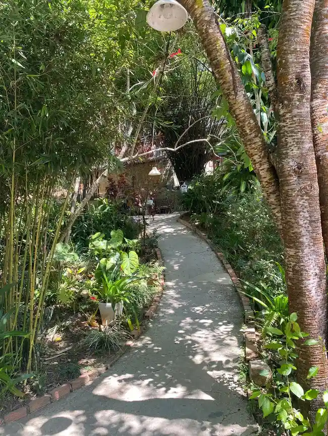 Ca phe Linh Lam Da Lat 14