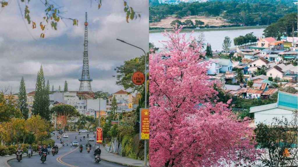 Đà Lạt, Lâm Đồng