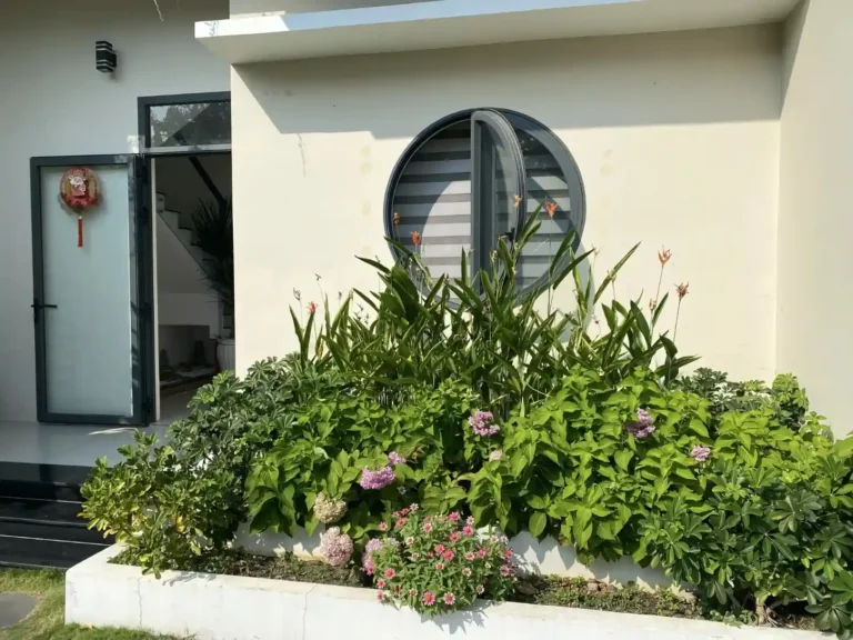 Nha An Homestay Phuoc Hai 10 768x576