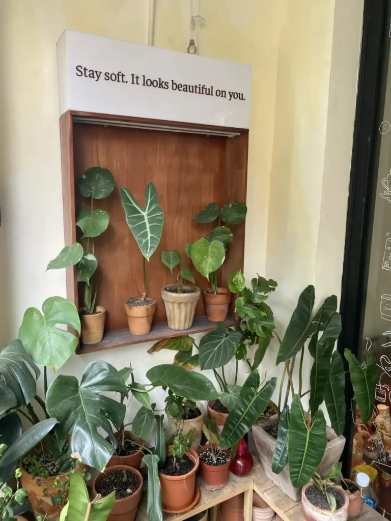 Sowee Space Ly Chinh Thang 3 768x1024