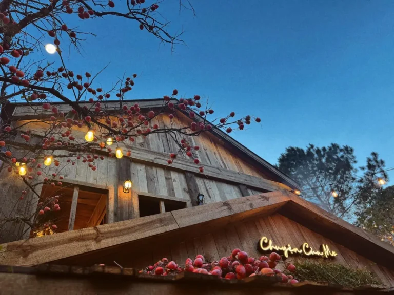Chuyen cua Mo Da Lat 1 1 768x576