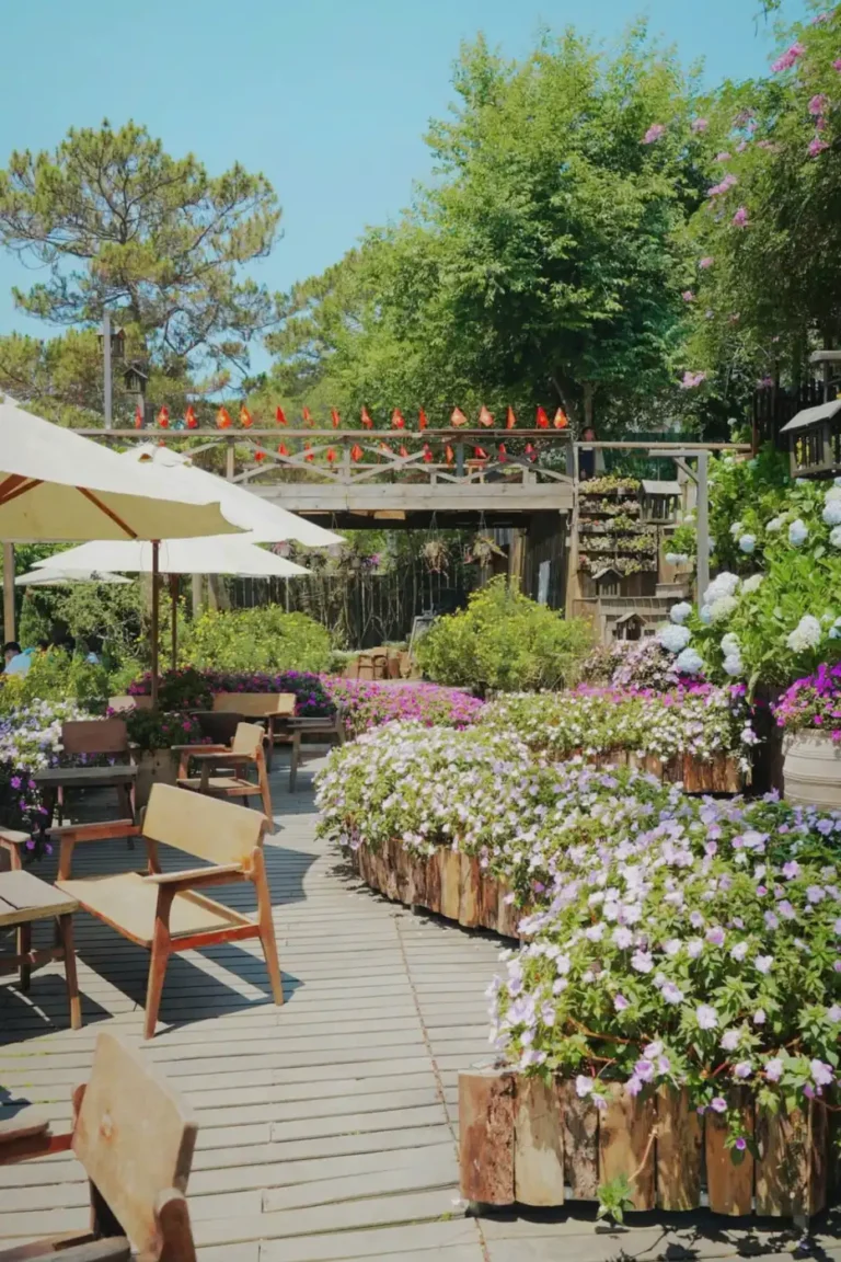 Nang Dalat cafe 11 1 768x1152