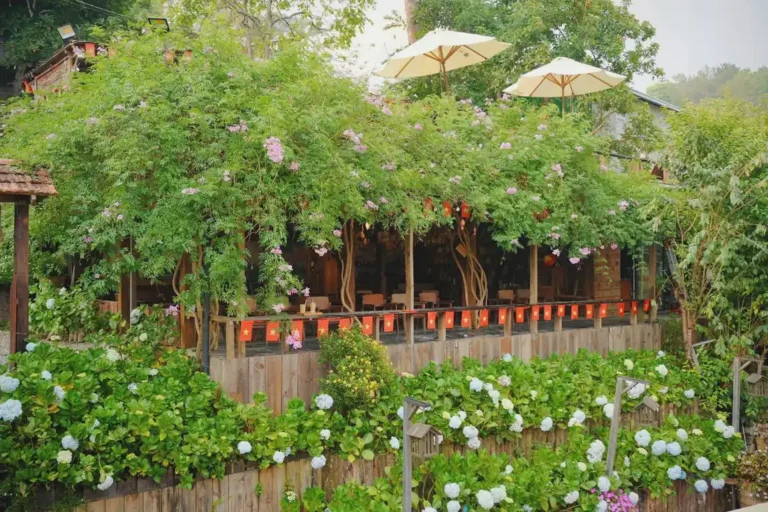 Nang Dalat cafe 4 1 768x512