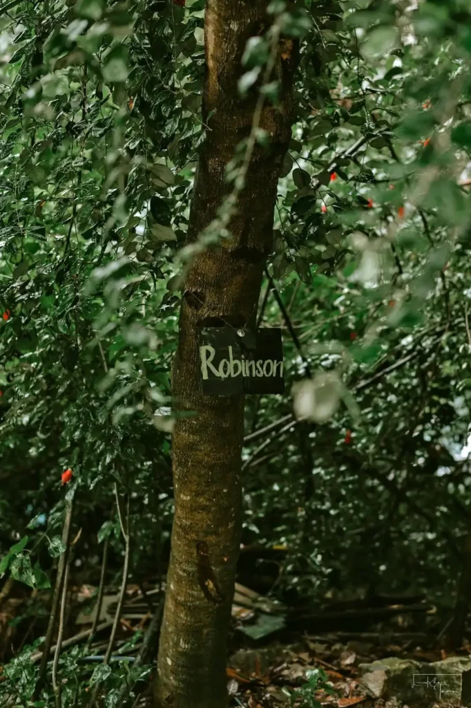 Robinson CoffeenTea Da Lat 1 2 682x1024
