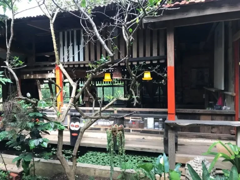 Robinson CoffeenTea Da Lat 2 1 768x576