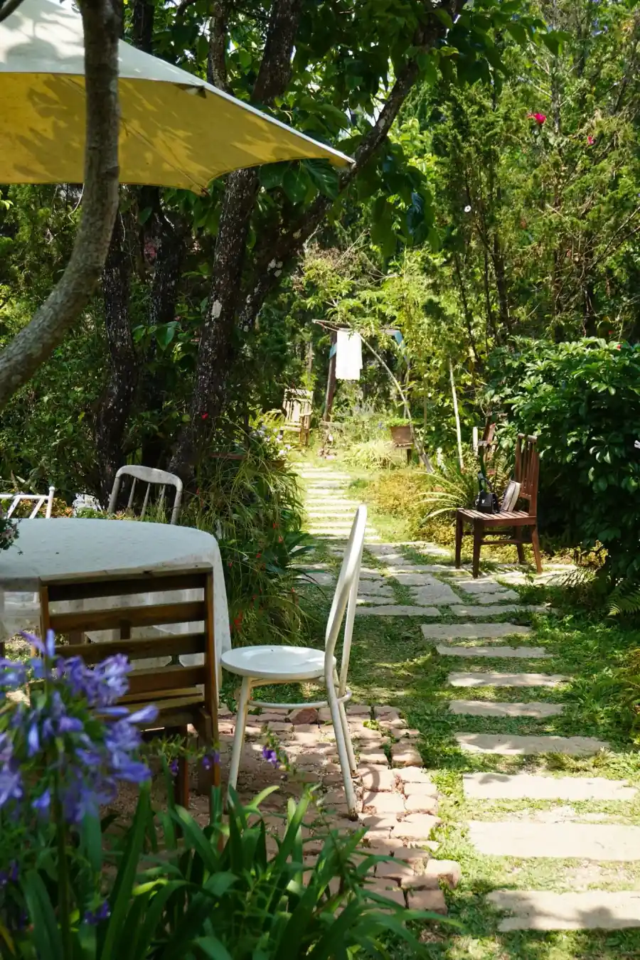 Chi tiết bàn trà và không gian vườn tại The Little Cottage Đà Lạt