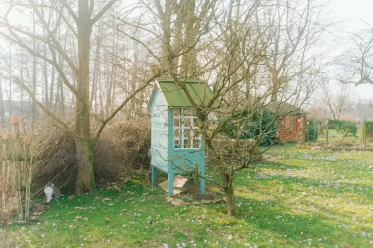 The Little Cottage Da Lat 9 1 768x512