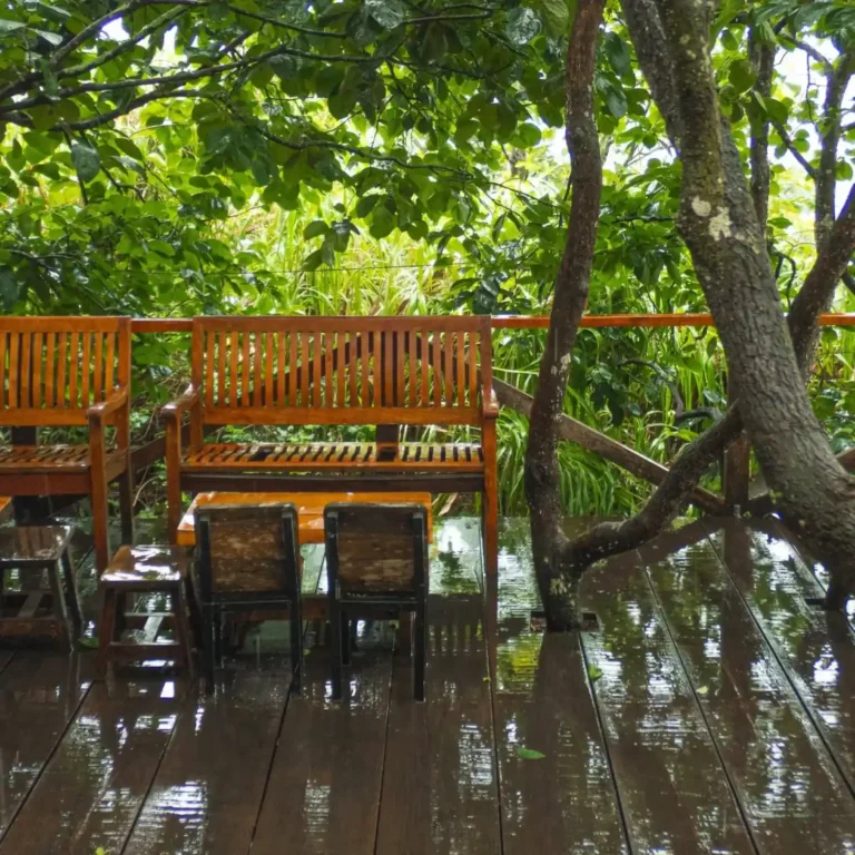 Cafe Persimmon Da Lat 13 1 768x768