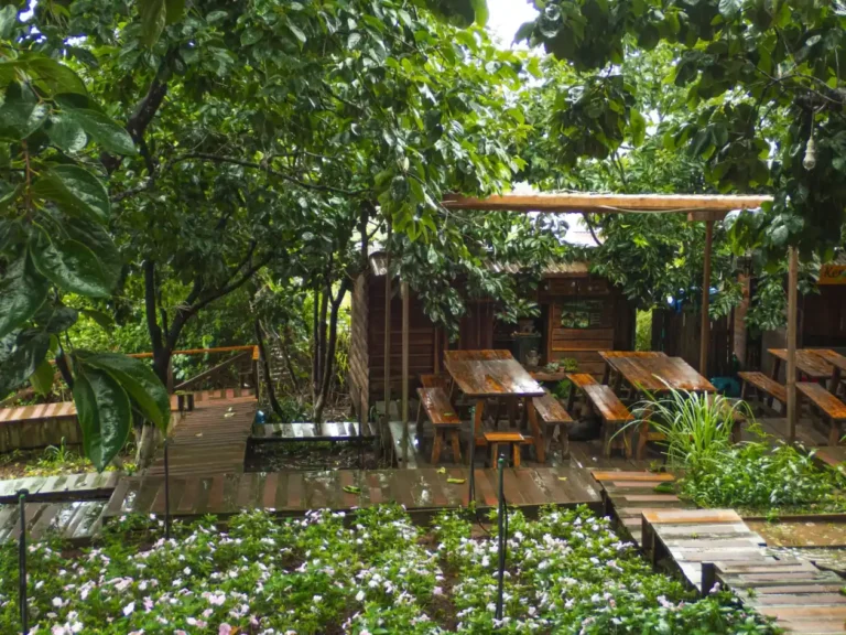 Cafe Persimmon Da Lat 14 1 768x576