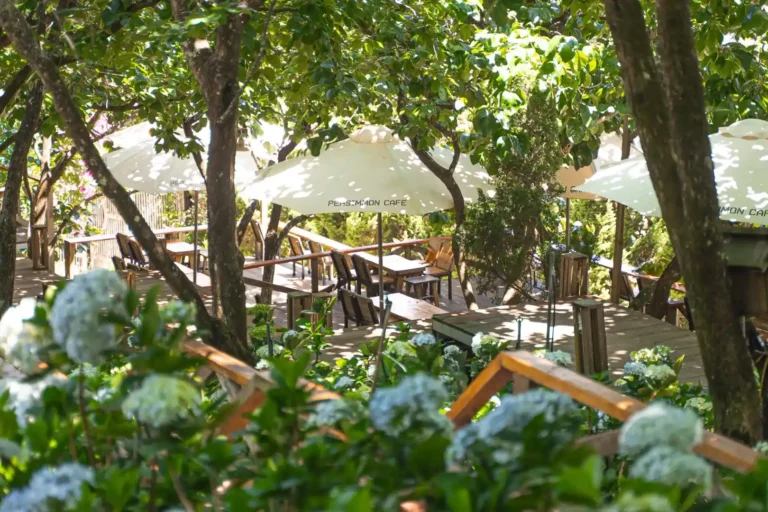 Cafe Persimmon Da Lat 17 1 768x512