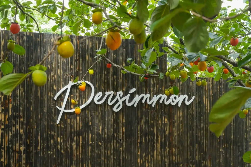 Cafe Persimmon Da Lat 2 1 1024x683