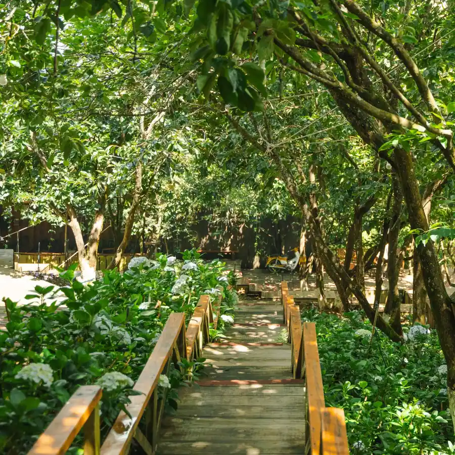 Cafe Persimmon Da Lat 9 1