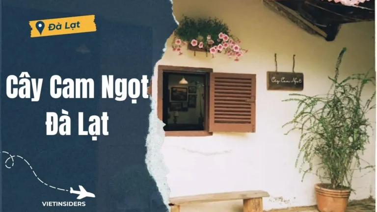 Cay Cam Ngot Da Lat 768x432