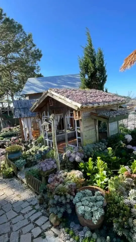 Ixora Homestay Coffee Da Lat 11 1