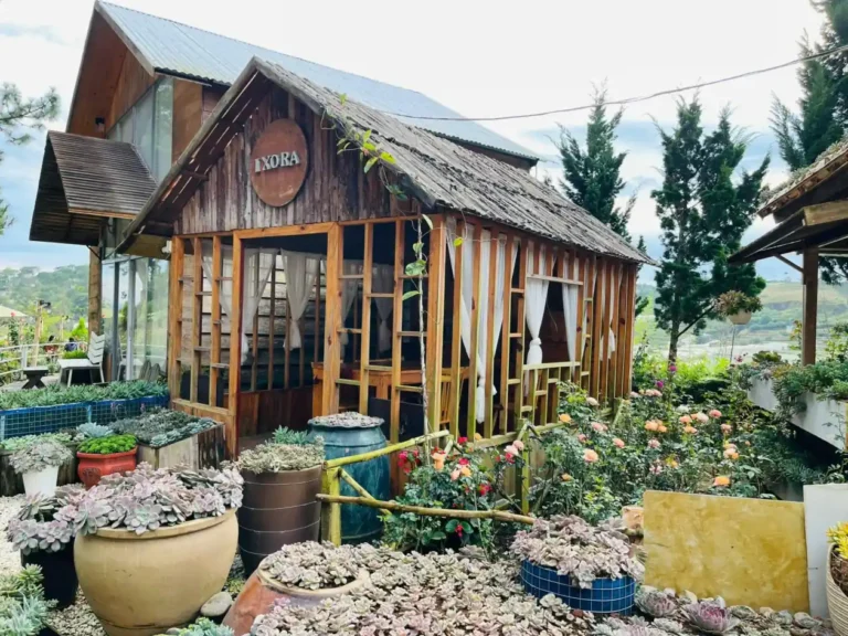 Ixora Homestay Coffee Da Lat 12 1 768x576